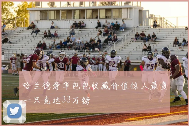 哈兰德奢华包包收藏价值惊人最贵一只竟达33万镑