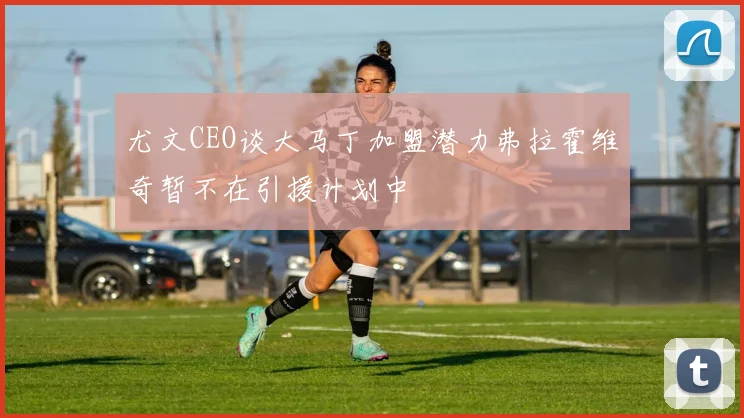 尤文CEO谈大马丁加盟潜力弗拉霍维奇暂不在引援计划中